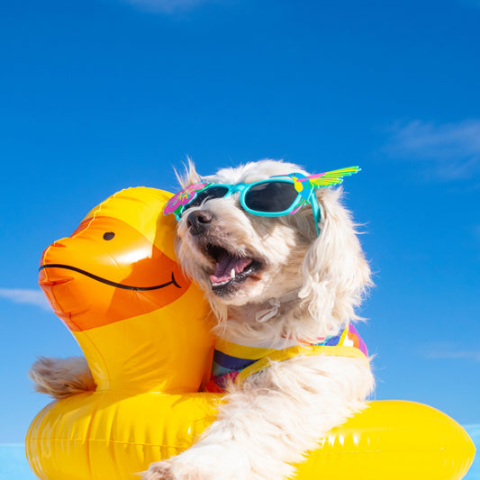 Summer Heat Hacks to Stay Cool