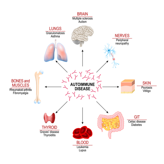 What is Autoimmune Disease?
