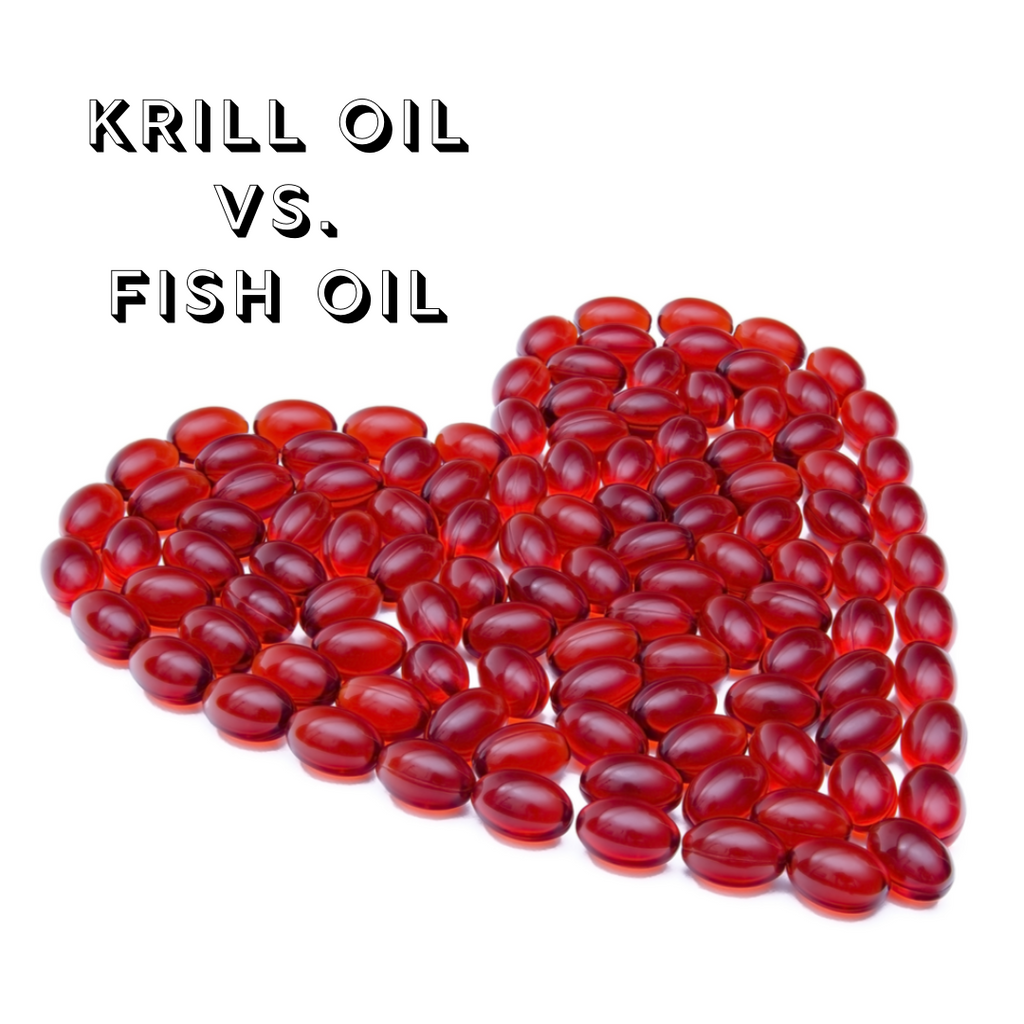 Krill Oil: The Better Choice Over Fish Oil - Part 2