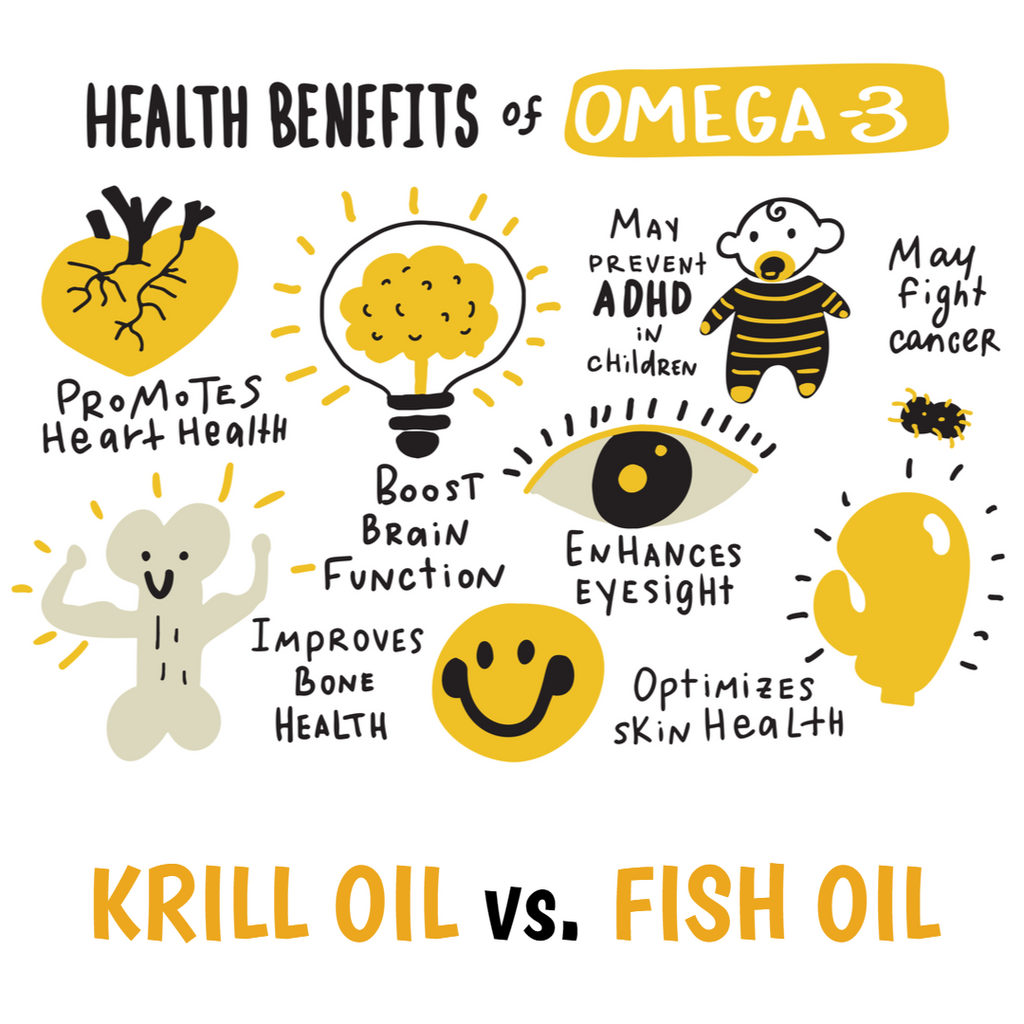 Krill Oil Basics: What You Need to Know - Part 1