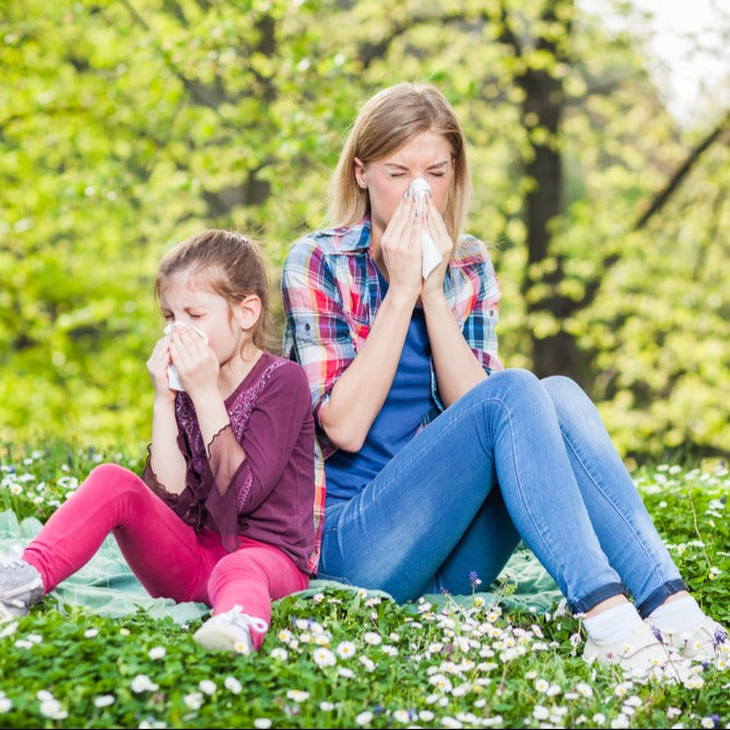 Types of Environmental Allergies